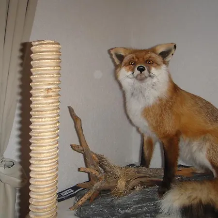 ゲストハウス Elisabeth フェント