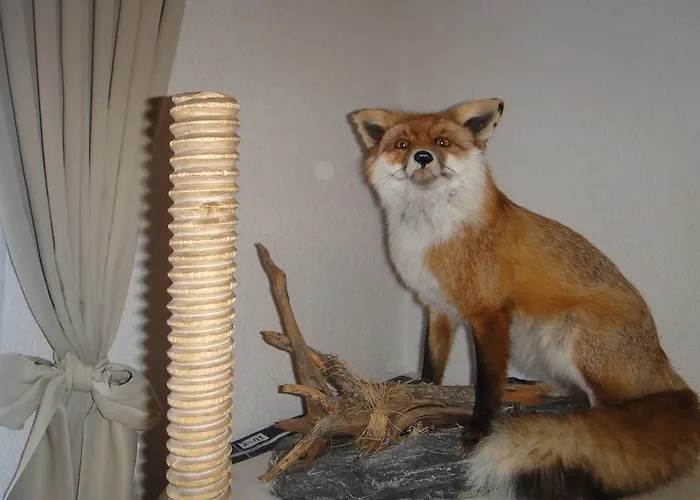 Gæstehus Elisabeth Vent